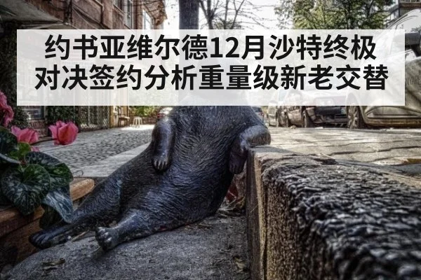 约书亚维尔德12月沙特终极对决签约分析重量级新老交替