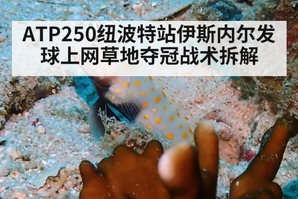 ATP250纽波特站伊斯内尔发球上网草地夺冠战术拆解