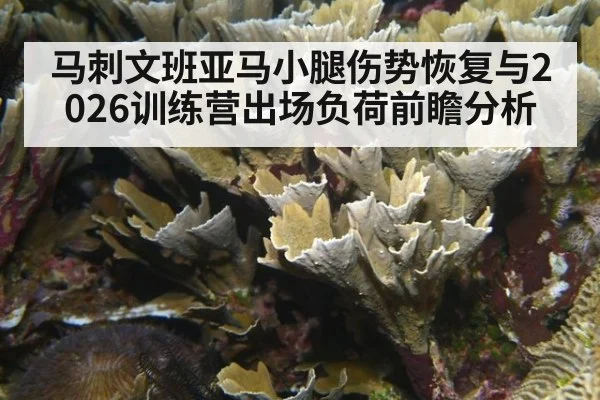 马刺文班亚马小腿伤势恢复与2026训练营出场负荷前瞻分析